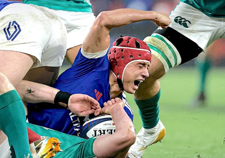 OVALIE – Coqs et Coquelets à l’épreuve du Chardon. Mont-de-Marsan, Biarritz et Dax dos au mur